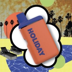 Leisure | Disposable H-Bar | 0.5g